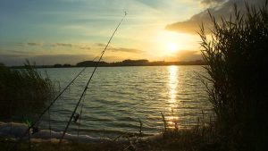 Can you fish in Louisiana state parks without a license?